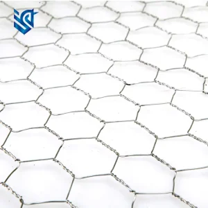Hexgonal Wire Mesh